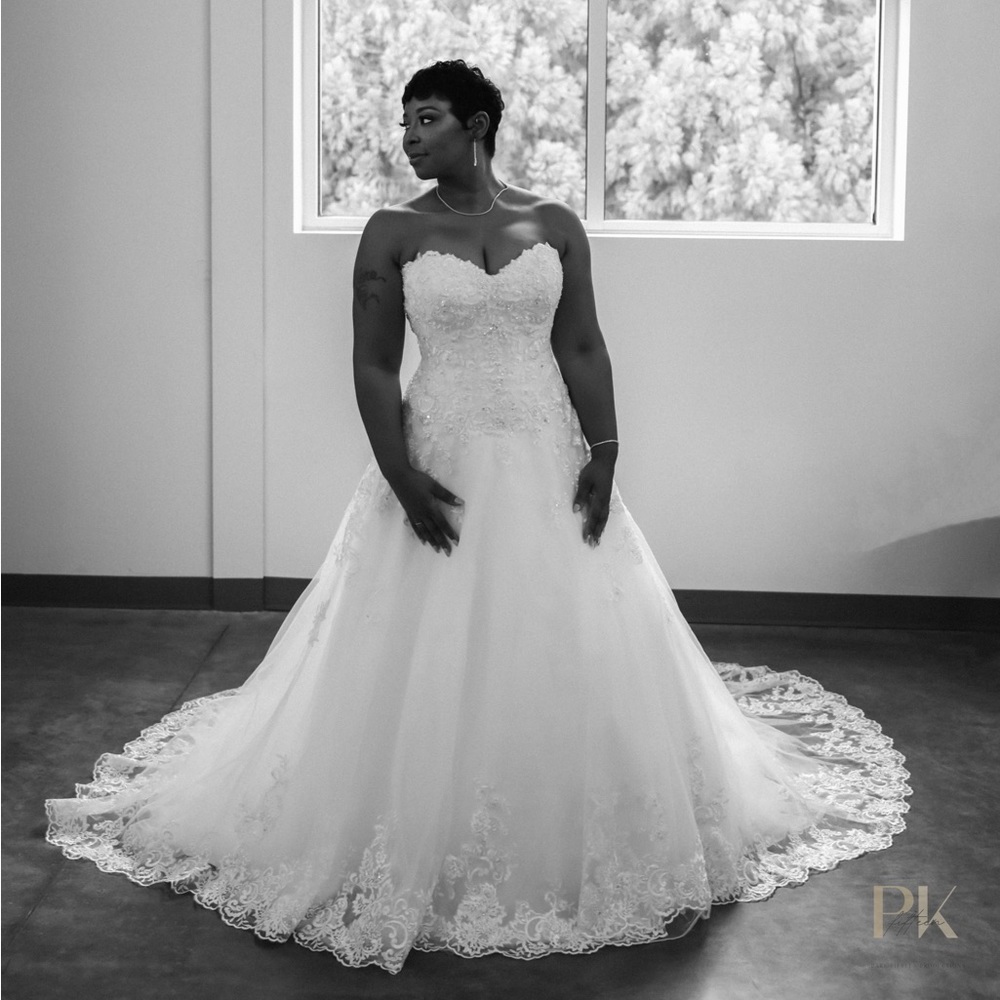 David’s Bridal Designer Wedding Dress-Jewel Style #V3836 in Ivory